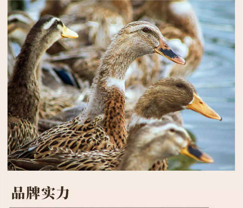 鴨得堡鹽水鴨1kg整只板鴨-開(kāi)袋即食-南京特色美食鹽水鴨-真空包裝_06.jpg